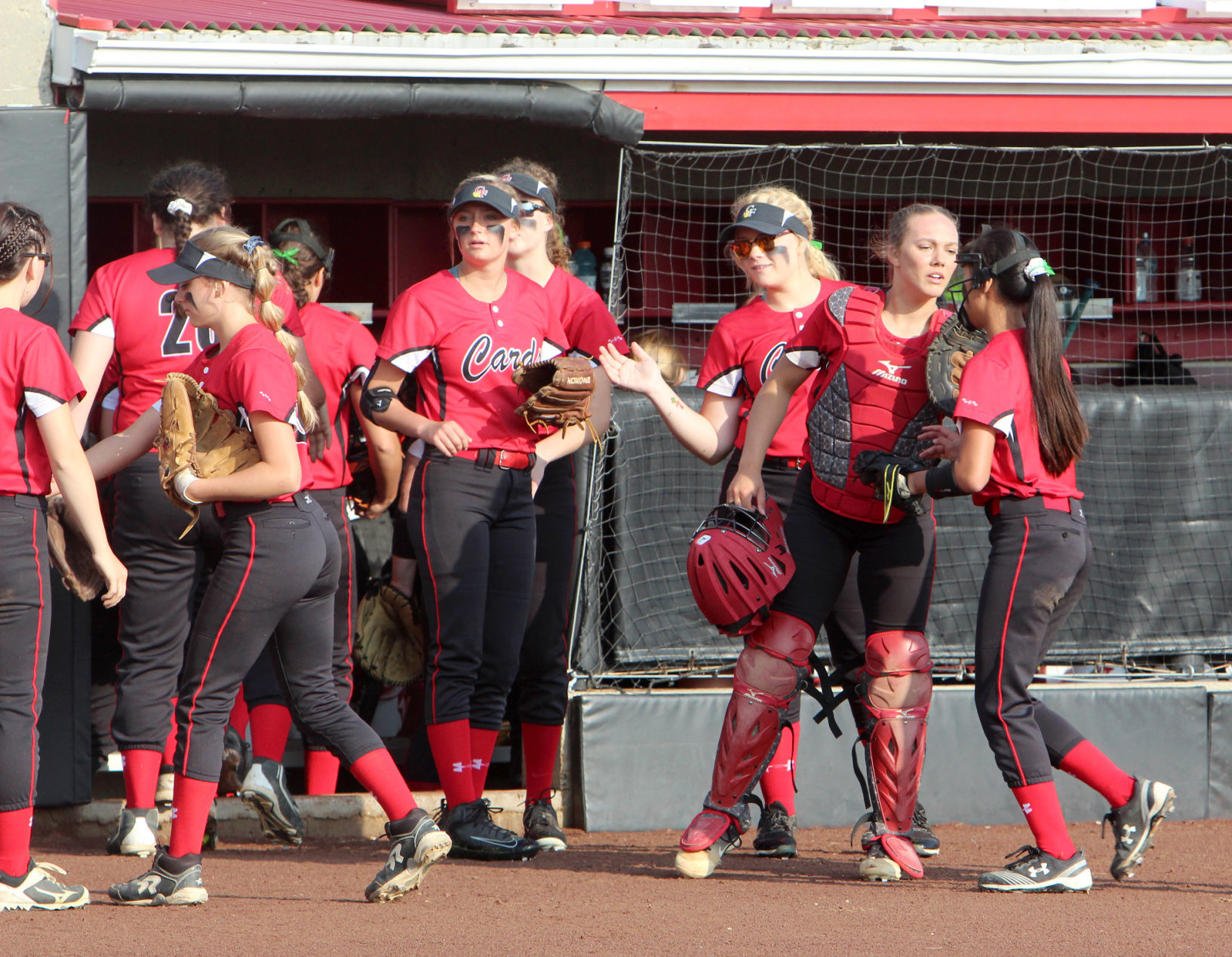 Chi-Hi softball vs Kenosha Bradford/Reuther Division 1 state quarterfinals 6-6-19